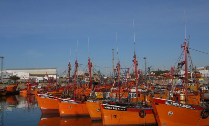 puerto mdp