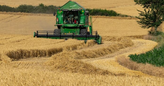 El Gobierno bonaerense anunció nuevos créditos para el sector agropecuario