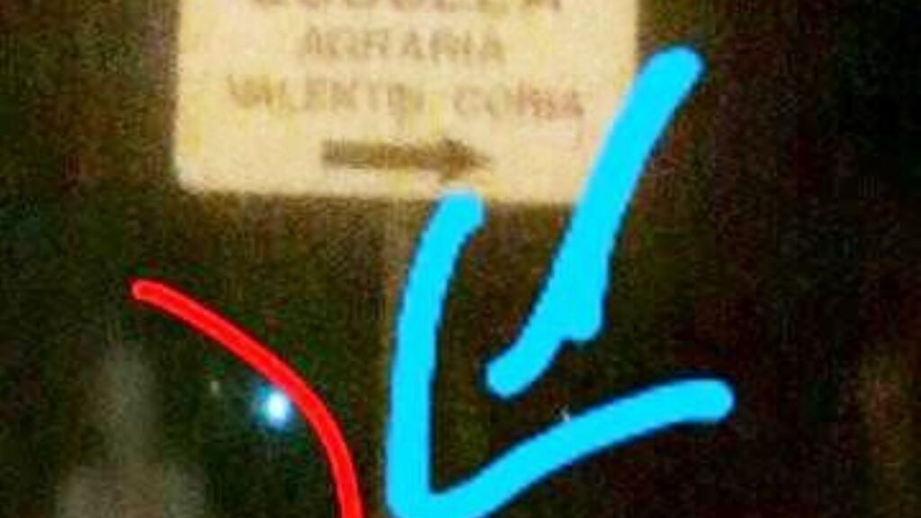 El fantasma junto al cartel de la Escuela Agraria. (La Razón de Chivilcoy)