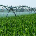 La Provincia prorrogó otra vez la suspensión de la resolución sobre agroquímicos