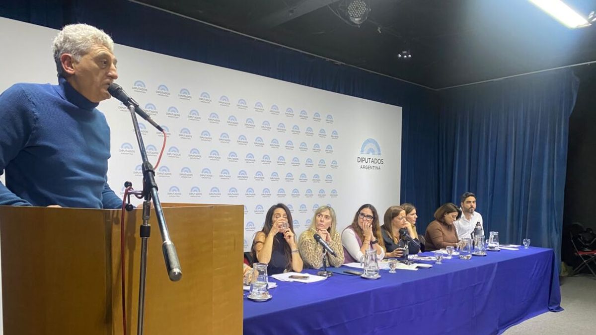 Intendentes llevaron al Congreso la presión contra el achique de la zona fría, pero hay escepticismo en los legisladores